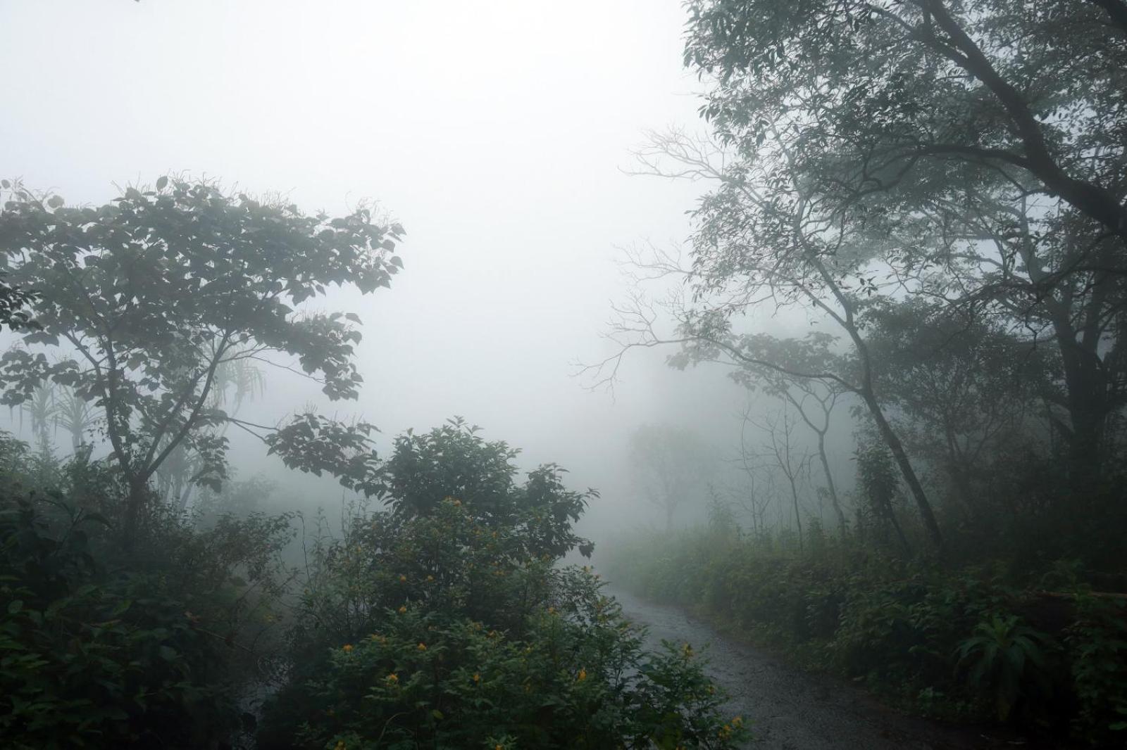 Jia Hill View Rooms Vagamon Exterior foto